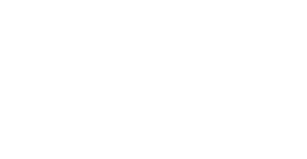 logo smart transports blanco