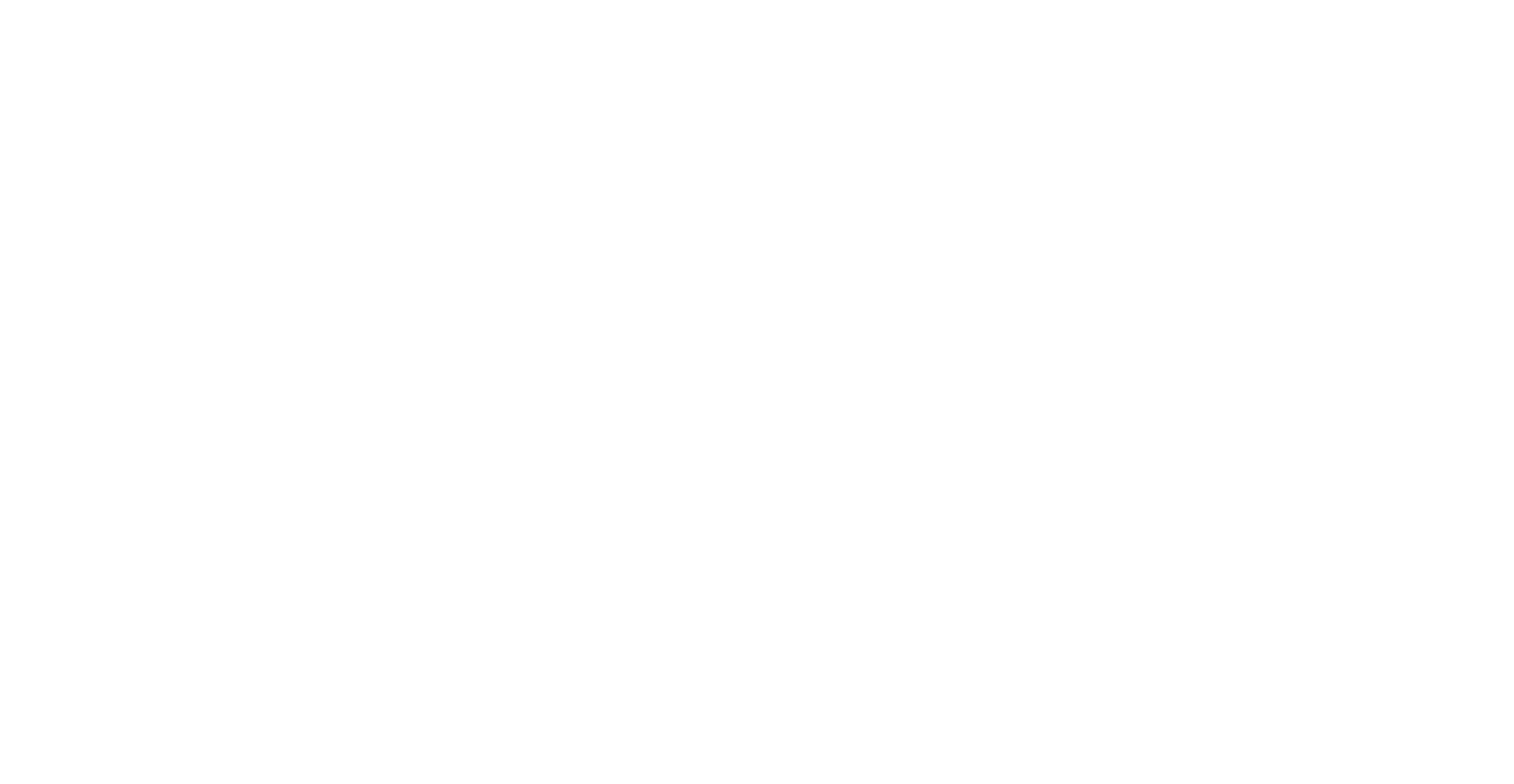 logo smart transports blanco